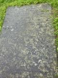 image number Jessup Tomasia 148a